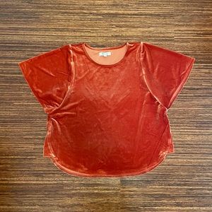 Madewell Velvet Shirt size small EUC